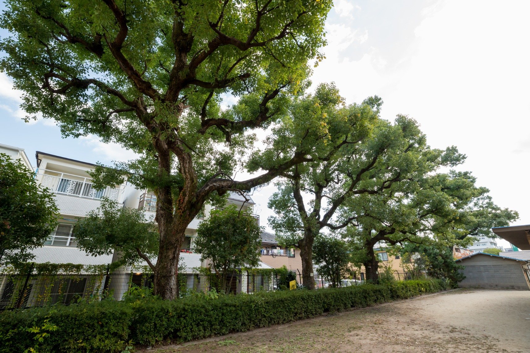 🙏 아비코산 타이쇼칸논지 (아비코 관음) 이미지 4